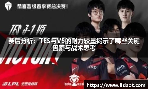 zoty中欧体育全站